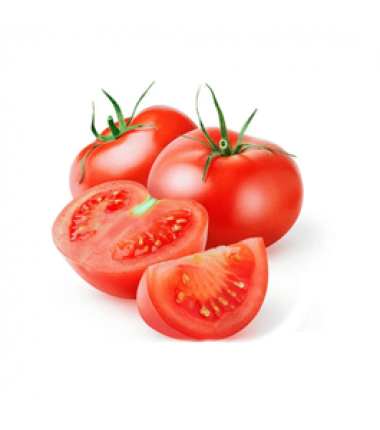 Cà chua - Trang trại Đắc Sửu
